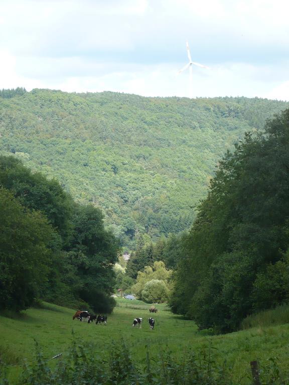 Ferienwohnungen Meindl Idar-Oberstein Pokoj fotografie