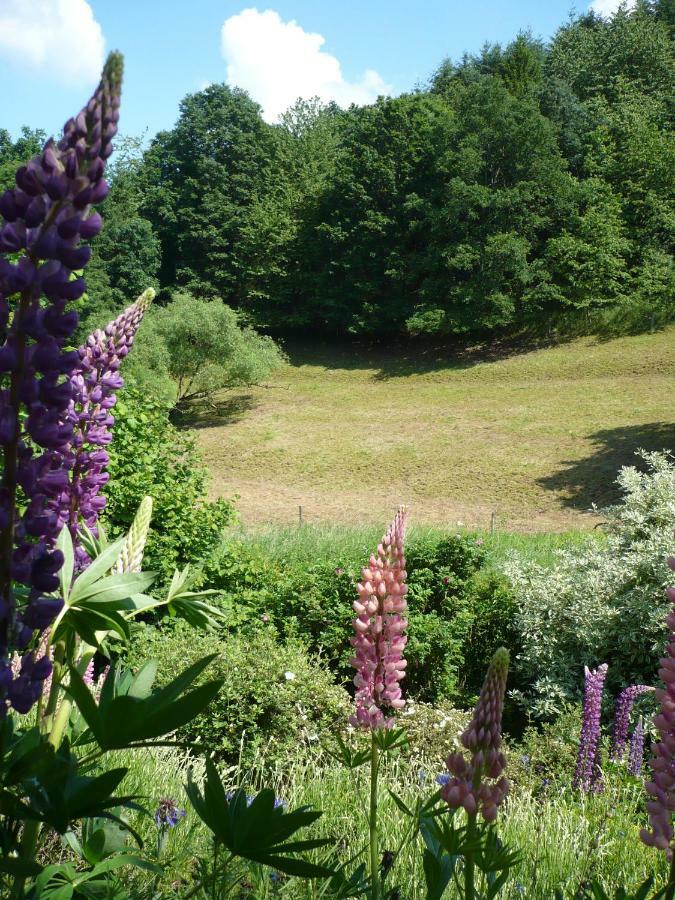 Ferienwohnungen Meindl Idar-Oberstein Exteriér fotografie